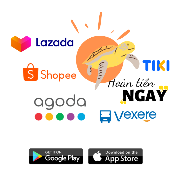 Cashback 2025 allnew